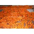 Fresh carrot vegetables for sale